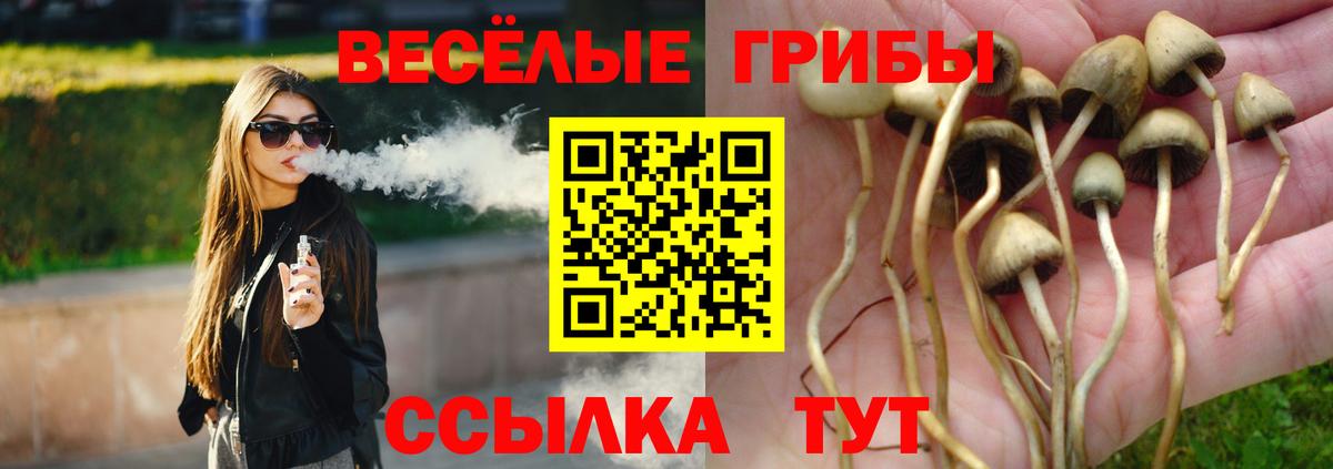Галлюциногенные грибы Cubensis  Вход с VPN  Чебоксары 